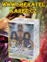 2021 Topps WWE Blaster Box